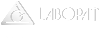 Intranet de Labopat